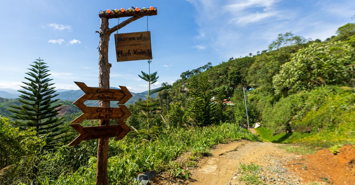 Les Meilleures Activités Écologiques dans les Éco-Destinations