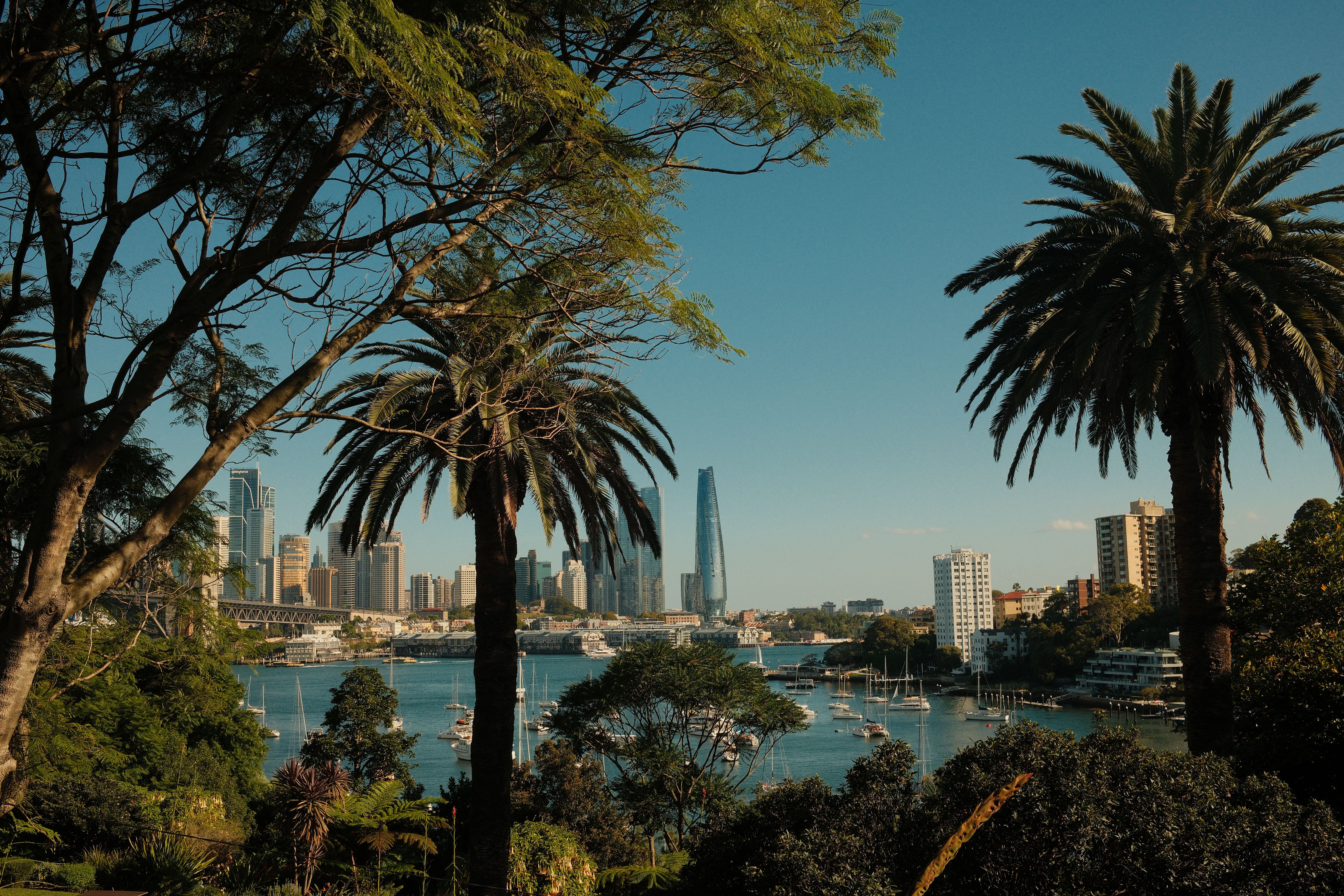 Chiropractors In Sydney Cbd