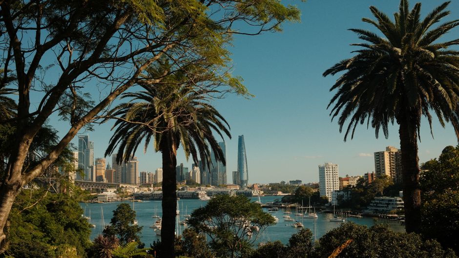 Chiropractors In Sydney Cbd