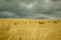 广阔的麦田里，干草堆成卷，映衬着戏剧性的天空
