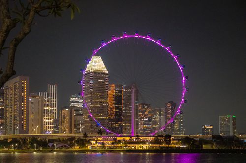 Free A vibrant view of Singapore's skyline at night featuring the iconic Singapore Flyer Ferris wheel illuminated in purple. Stock Photo