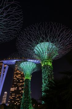 Nacht & Marina Bay – Lebendiges architektonisches Motiv