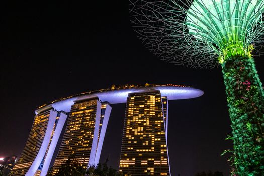 Gardens by the Bay private after-hours — Singapore