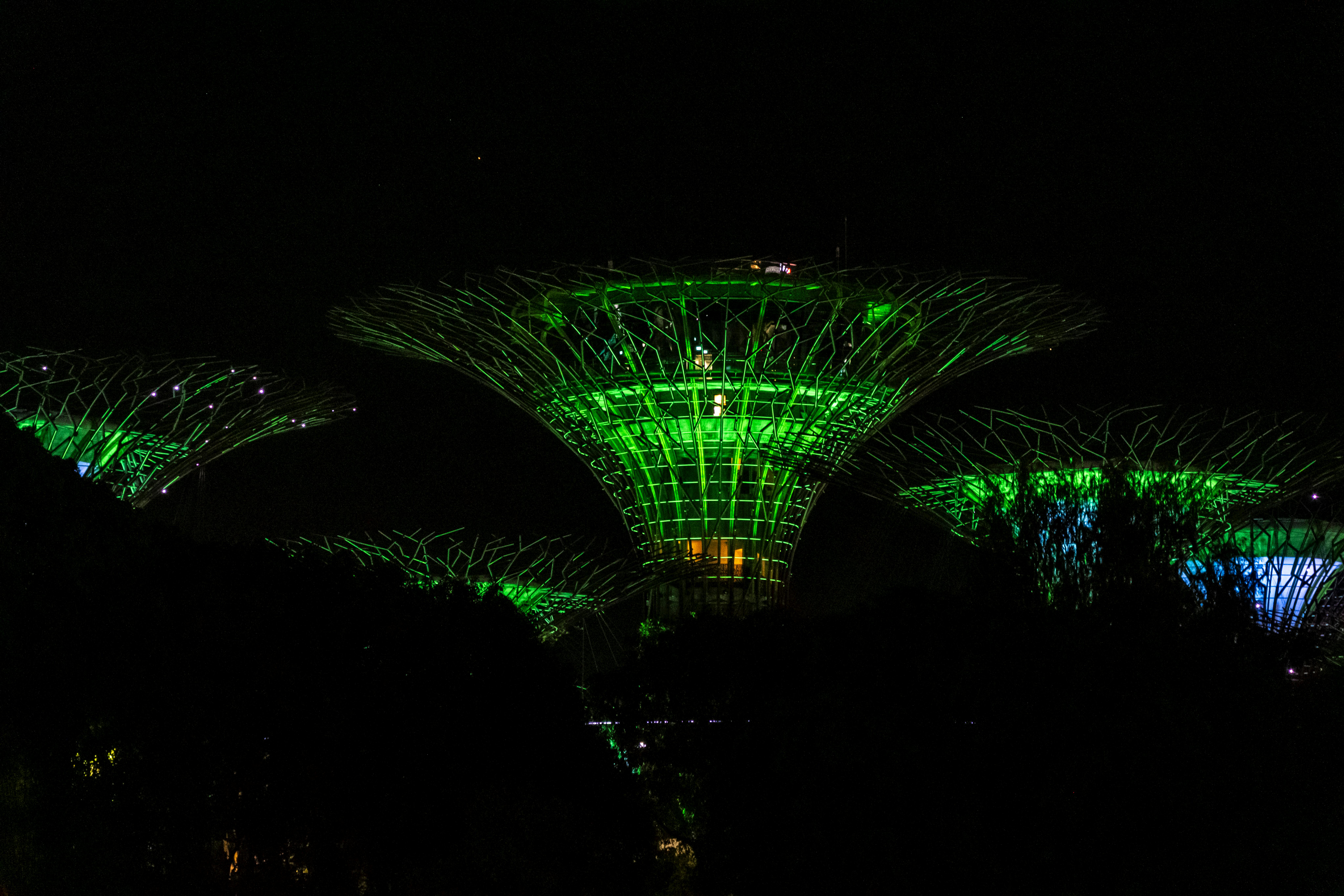 スーパーツリー・グローブの夜の光のショー — ガーデンズ・バイ・ザ・ベイの看板ビュー