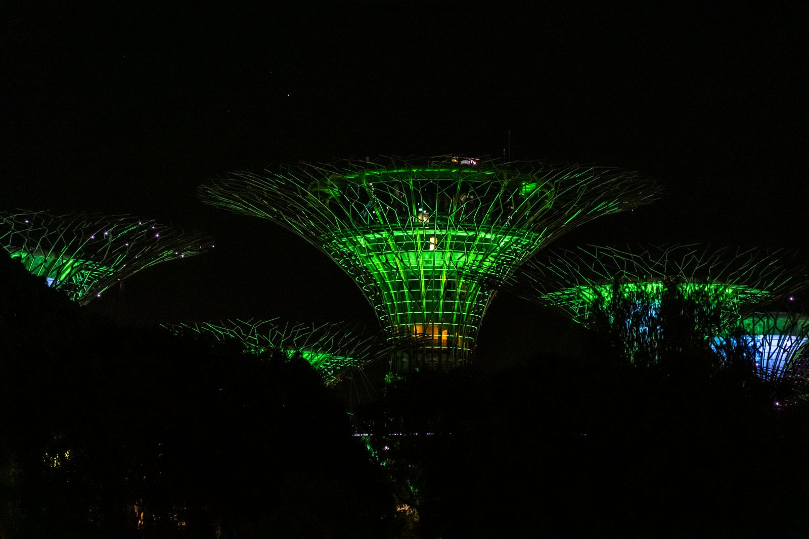 Visit the Supertree Grove in late afternoon to see the structures lit as daylight fades into evening.