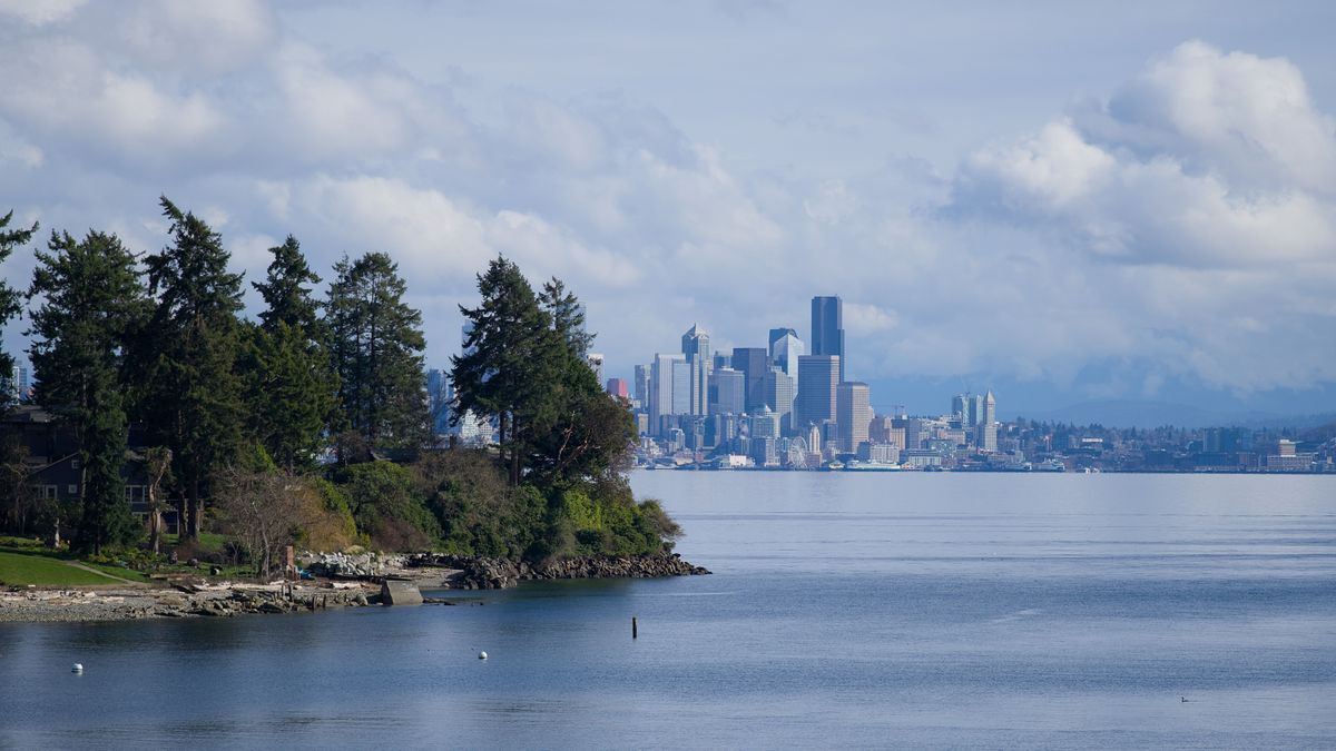 Seattle, WA Contest Alerts Near Me: Where to Find Legit Deals