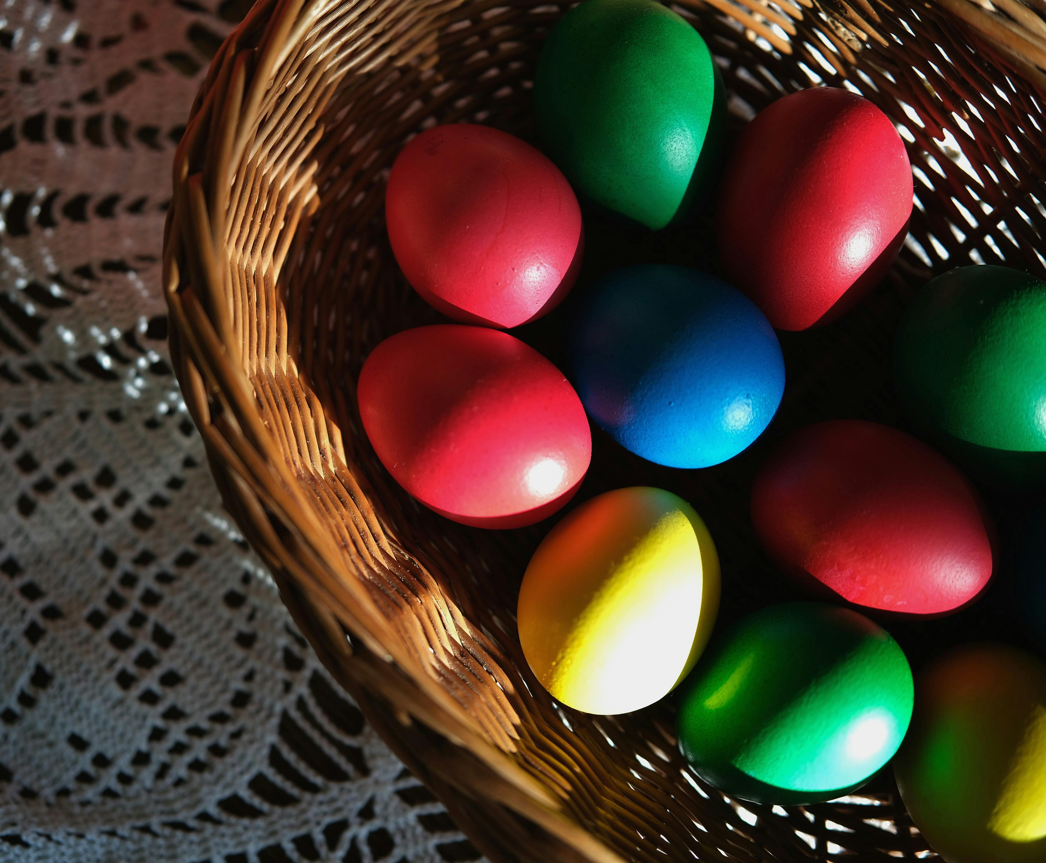 Pet Safety Tips for Easter — Photo by Roman Biernacki on Pexels