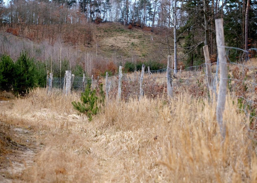 Rustic Countryside Scene with Wooden Fence in Autumn · Free Stock Photo