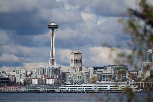 Coffee culture walk — independents — Seattle