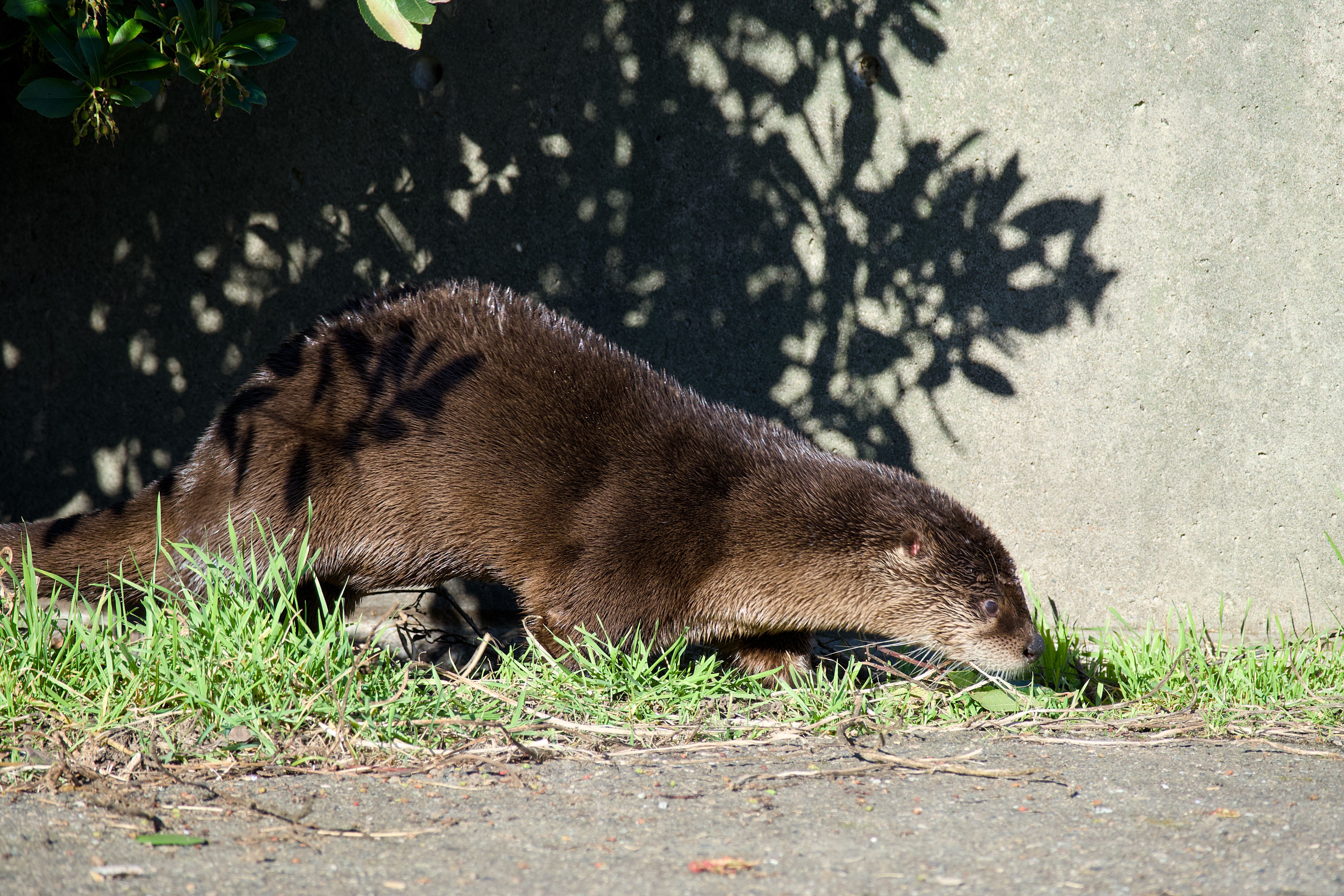 Seattle Zoo