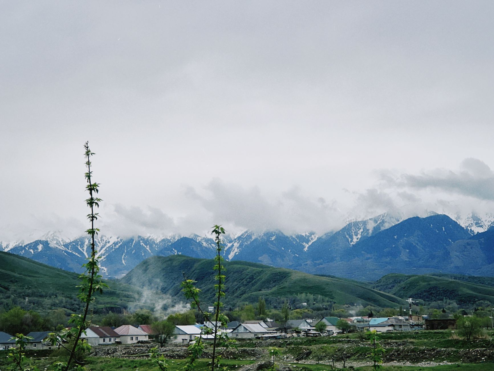 Breathtaking landscape of Talgar with snow-capped mountains and lush greenery.