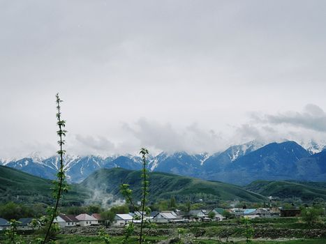 Breathtaking landscape of Talgar with snow-capped mountains and lush greenery.