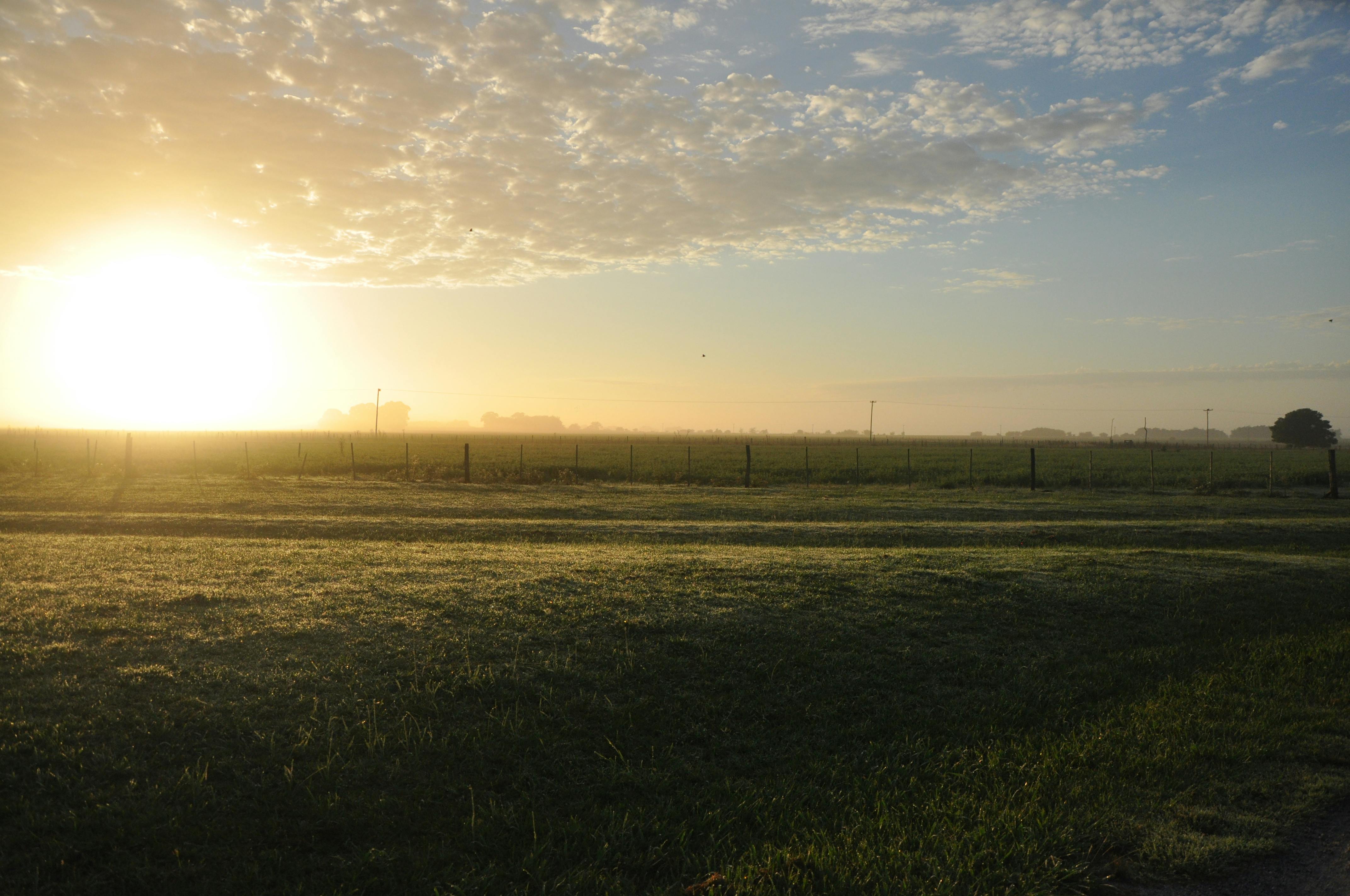 sunlight sunrise