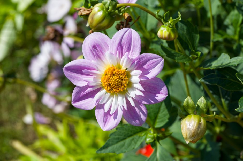 The Summer of Reemergence: How the World is Redefining Social Connecti