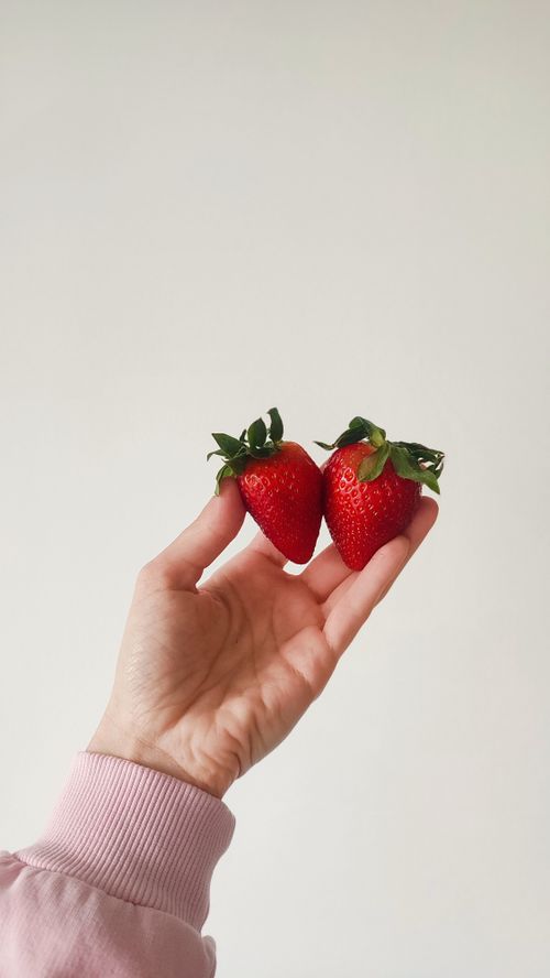 Free A hand holding two fresh strawberries against a minimal background. Stock Photo