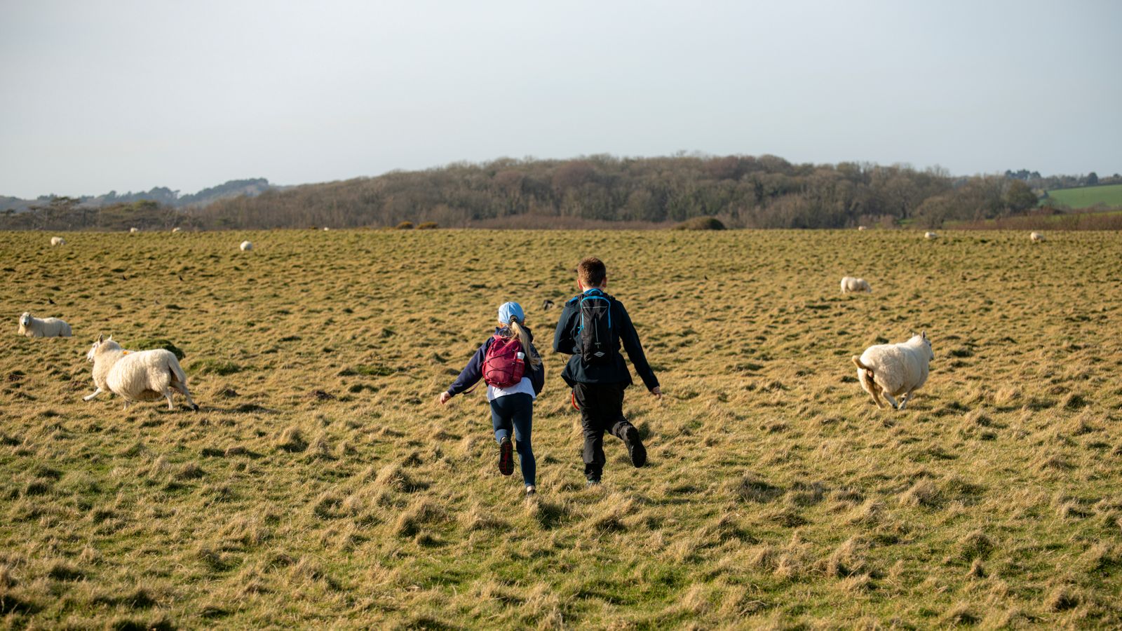 Small group walking together through a scenic destination
