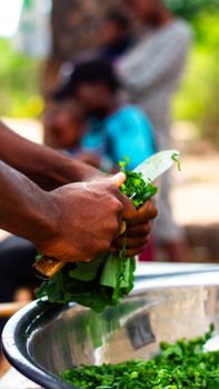 Detailed shot of hands using a knife to chop leafy greens with blurred background.