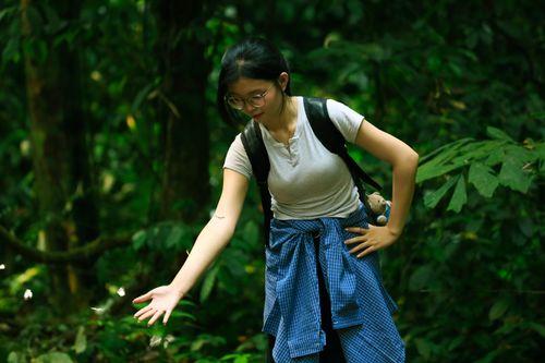 Free A woman interacts with nature in the dense greenery of Ninh Bình, Việt Nam, captured in a serene moment. Stock Photo