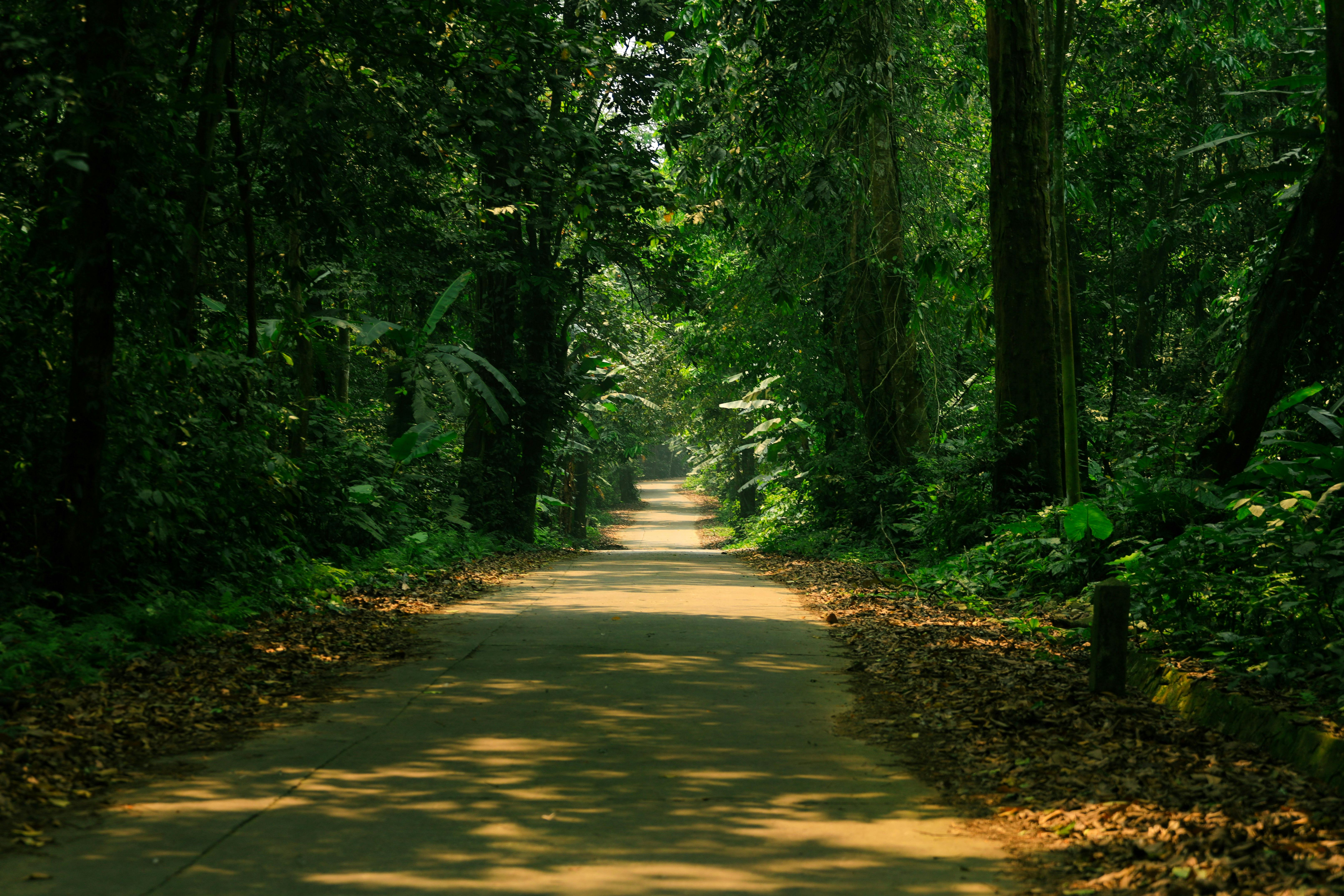 Tripura's Hidden Gems: Exploring Agartala and Beyond for Unique Travel Experiences