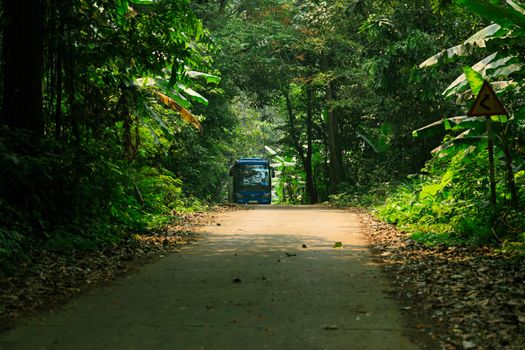 A quiet scenic road in Ninh Bình, Vietnam, with a blue bus surrounded by lush greenery.