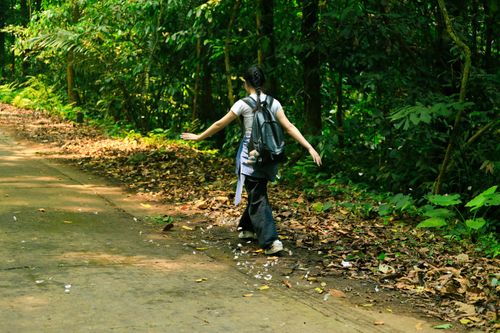 Free Exploring nature on a forest trail in Ninh Bình, Vietnam. Perfect for adventure enthusiasts. Stock Photo