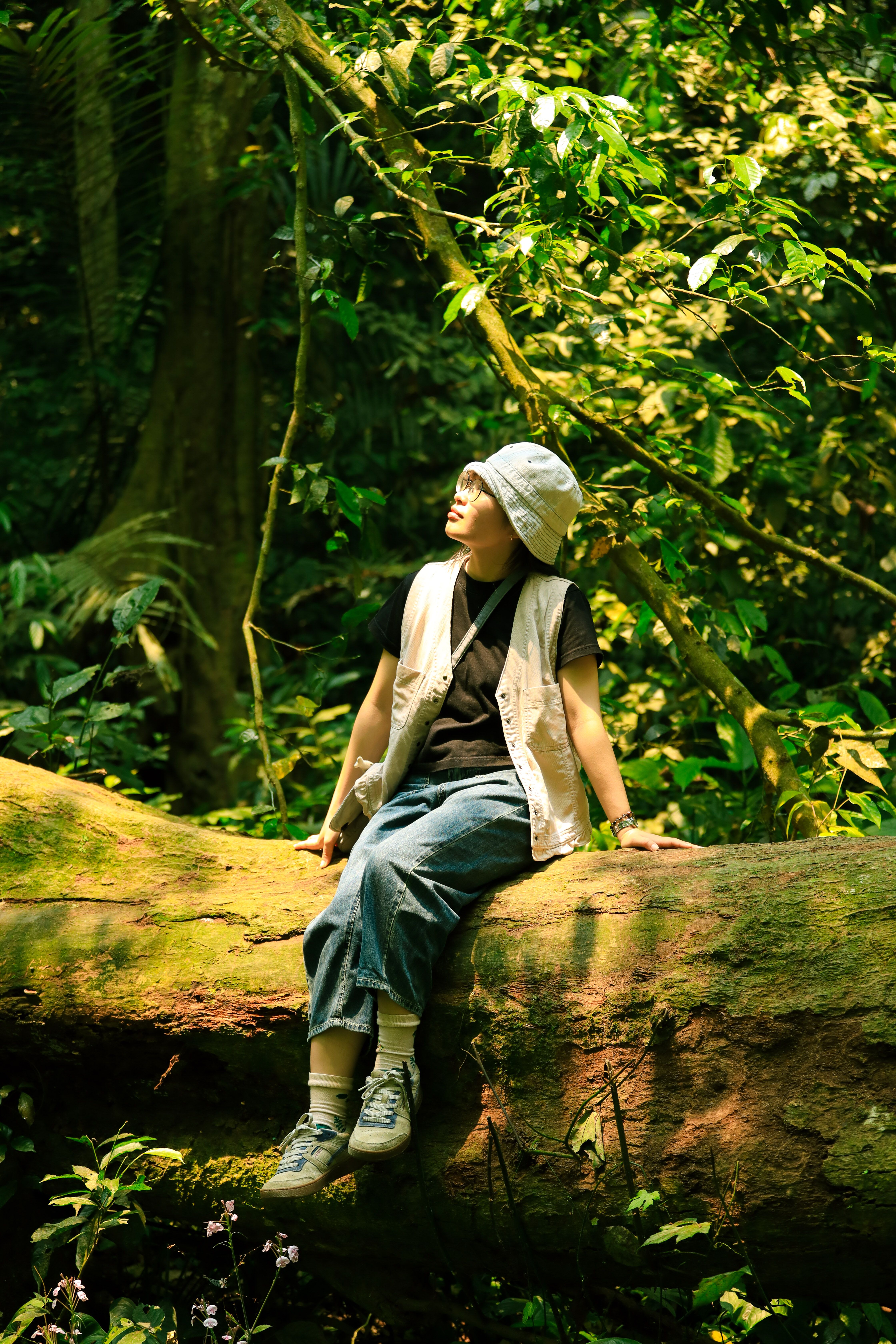 Person Relaxing on a Fallen Tree in Lush Forest · Free Stock Photo