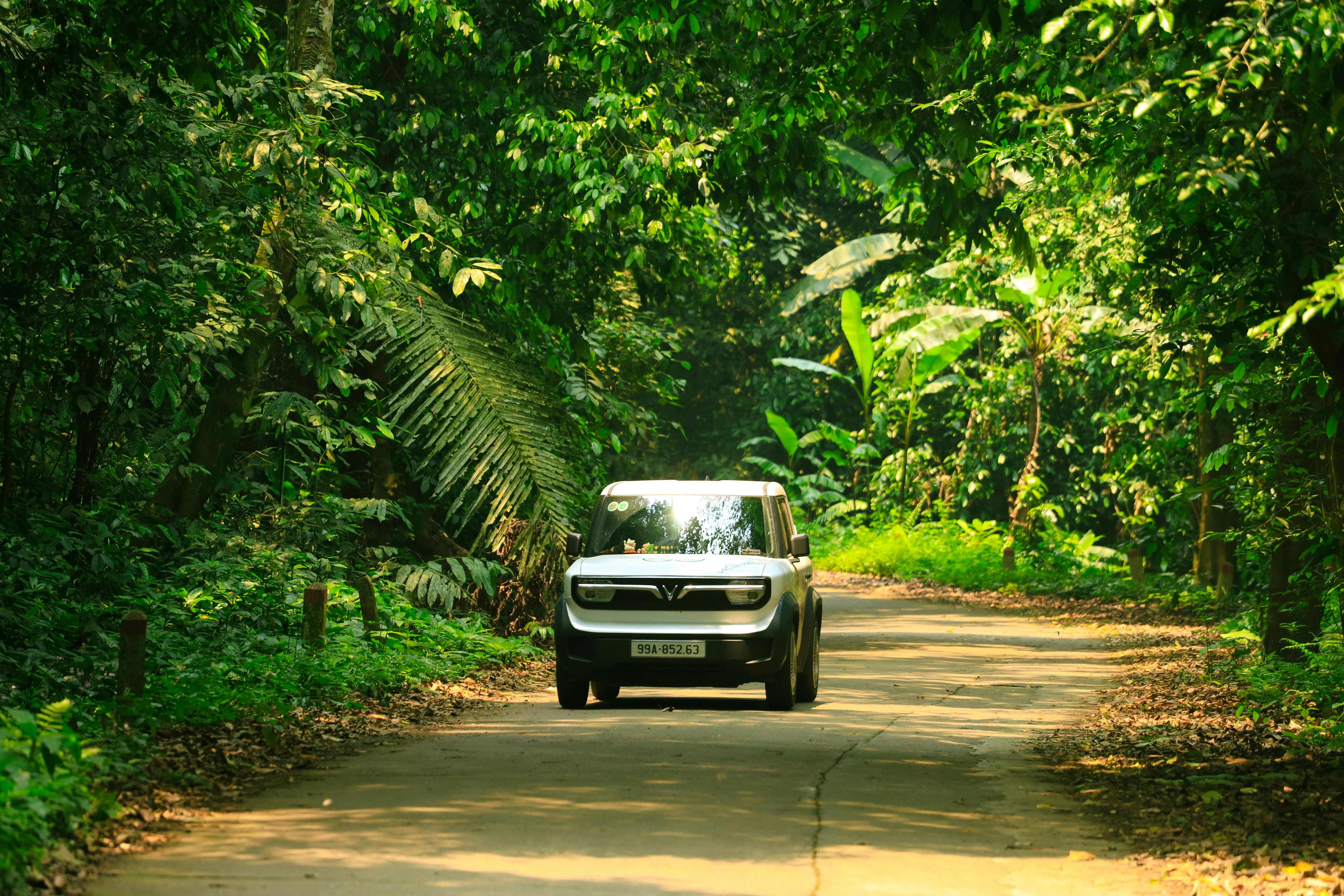 evs explained ev electrification — Photo by Hồng Quang Official on Pexels