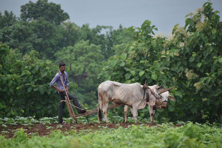 Rajesh Kumar