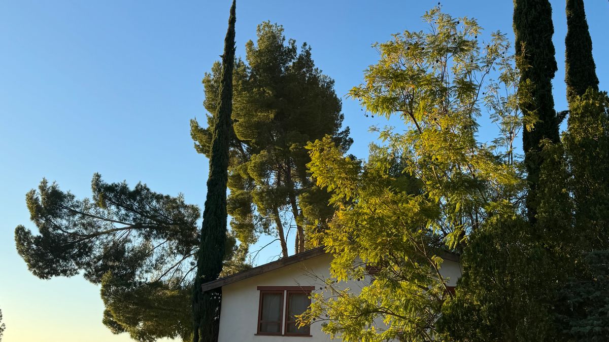 Luxury Homes for Sale in Calabasas: Neighborhoods and Buyer Priorities