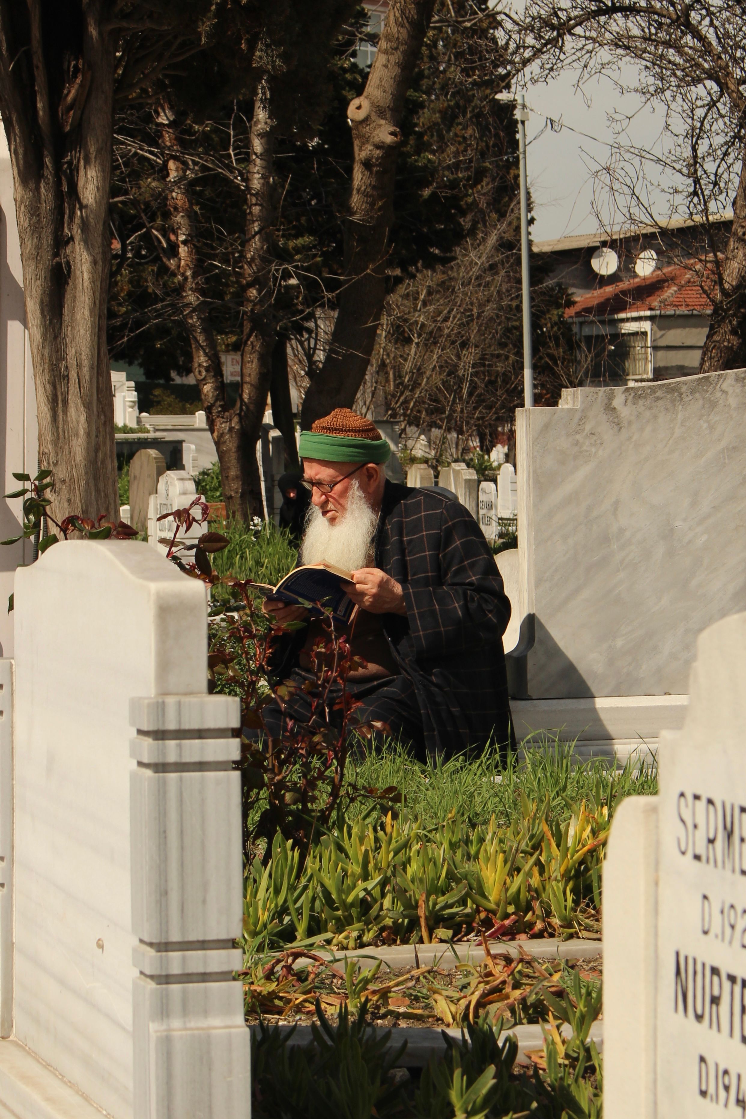 An elderly man with a beard reads a book in a serene cemetery under trees.
