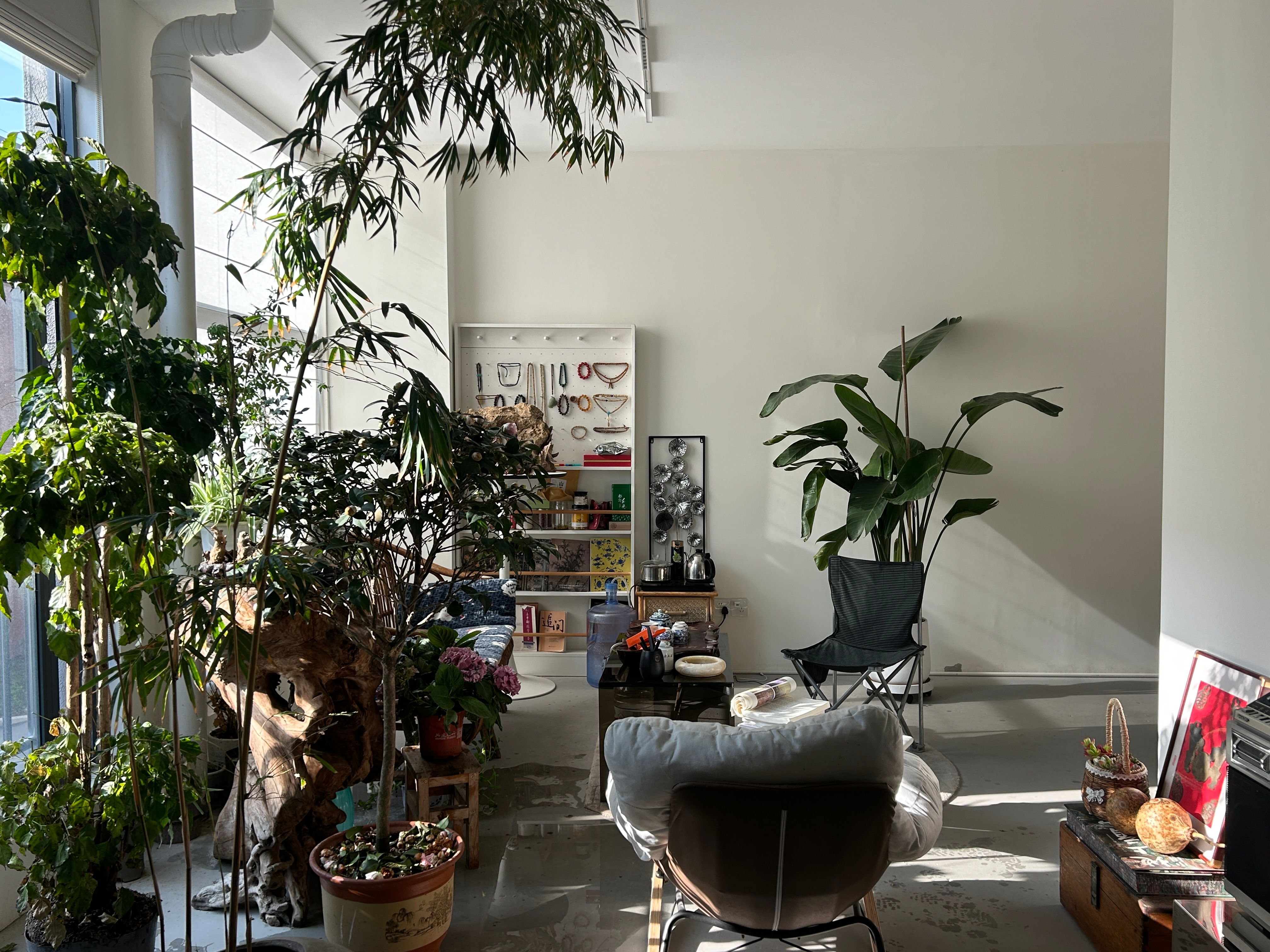 home decor stores los angeles ca A well-lit indoor lounge adorned with various plants, creating a natural and cozy atmosphere.