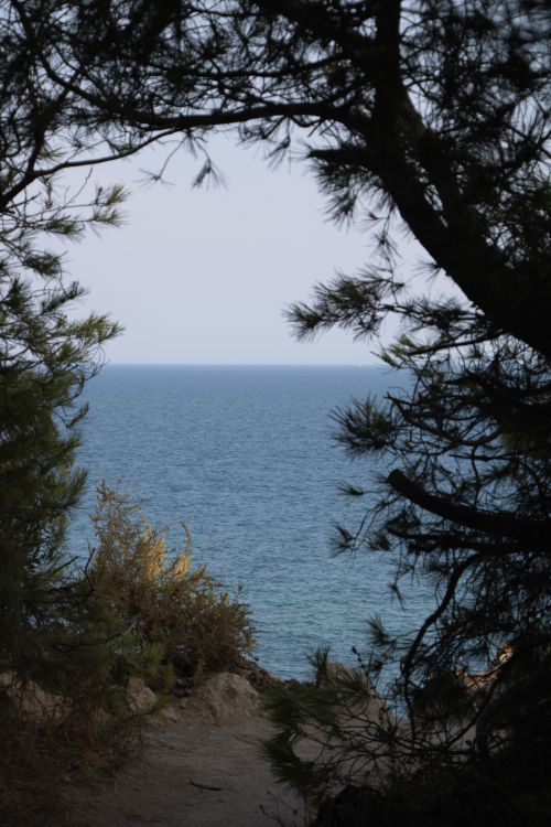 Free Beautiful ocean view framed by coastal trees in Faro, Portugal. Stock Photo