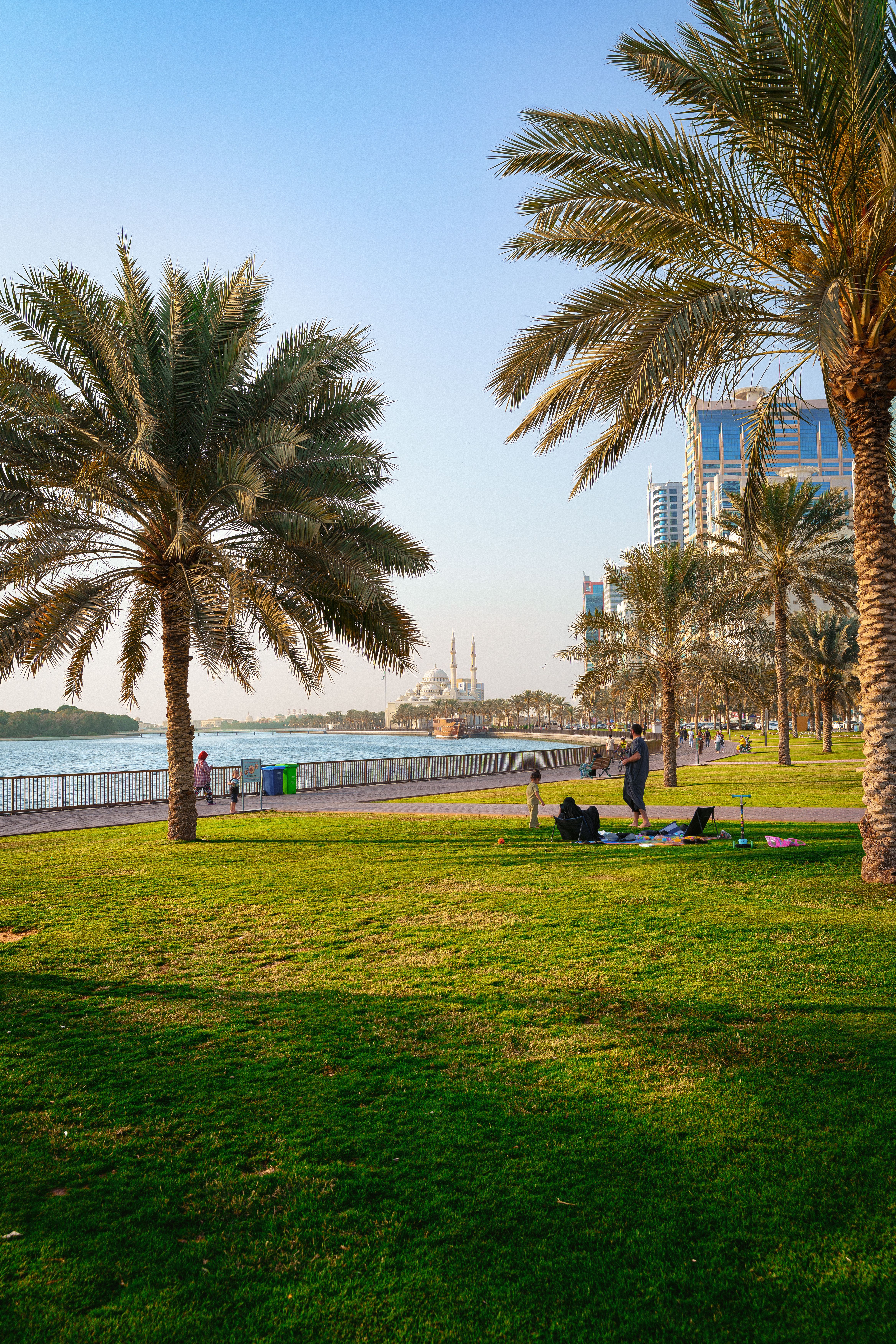 Sunny Riverside Park with Palm Trees in Dubai · Free Stock Photo