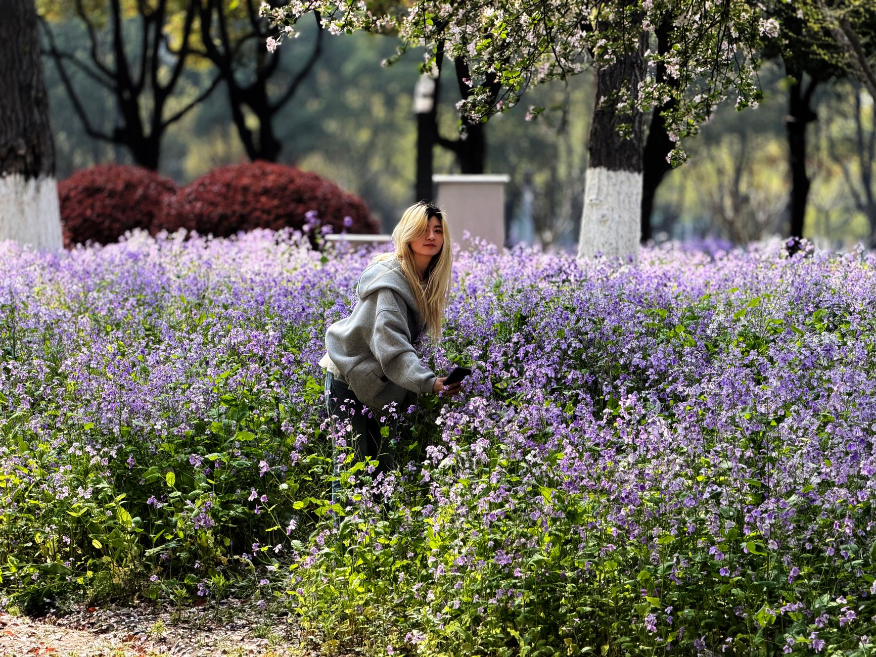 A woman enjoying a stroll amidst blooming purple flowers in a scenic outdoor setting.