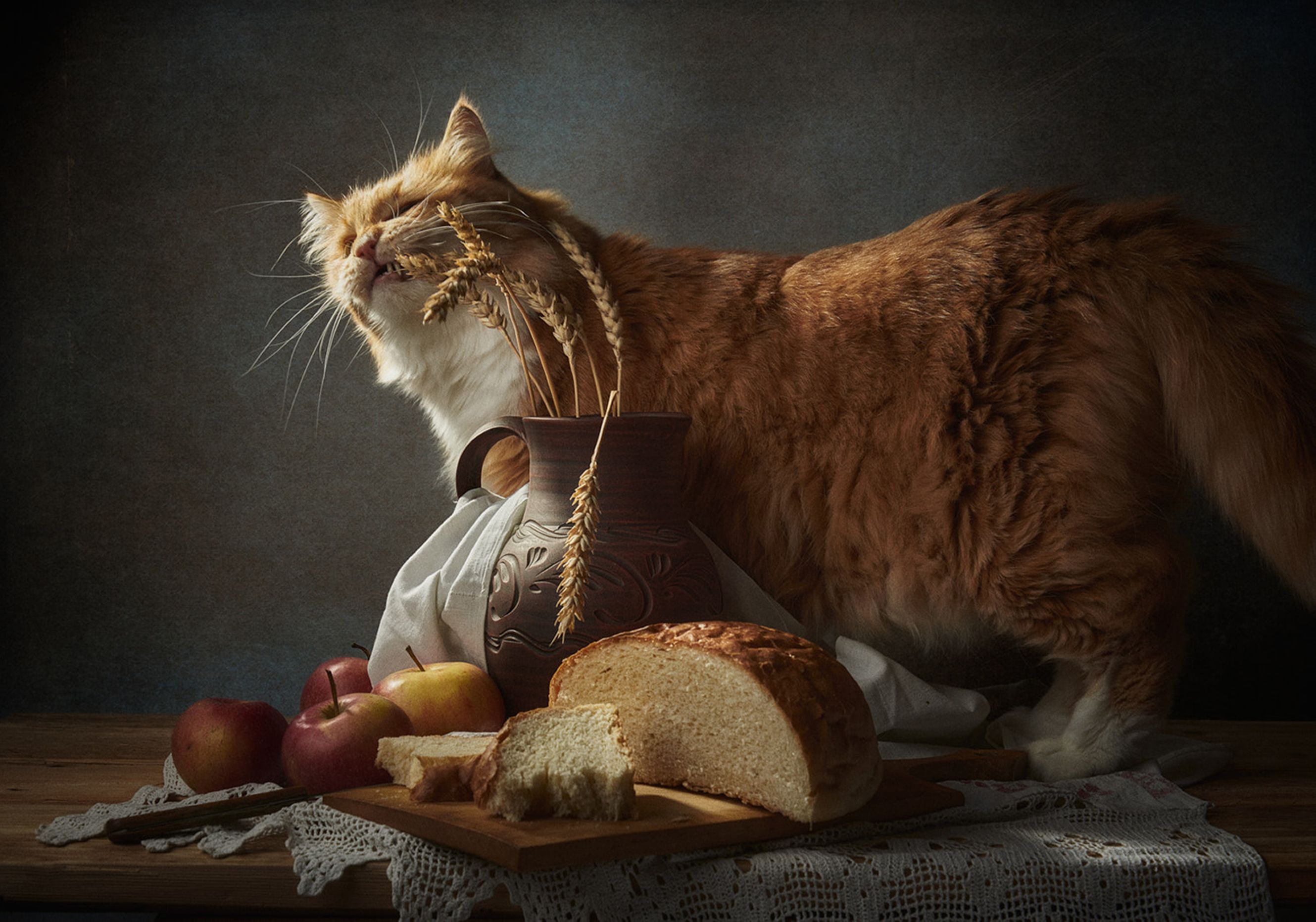 An orange cat in a rustic still life setup with bread and apples.
