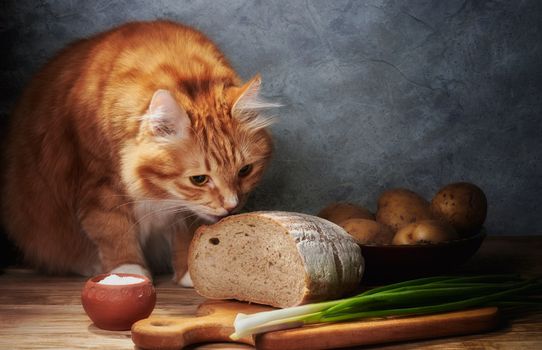 A curious ginger cat sniffs bread beside potatoes and onions in a cozy kitchen setting.