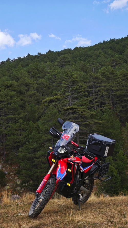 Free Red adventure motorcycle parked in a lush green forest, perfect for exploring nature. Stock Photo