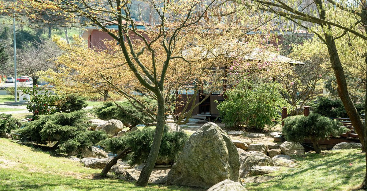 Come Coltivare un Giardino Sostenibile: Tips e Tecniche
