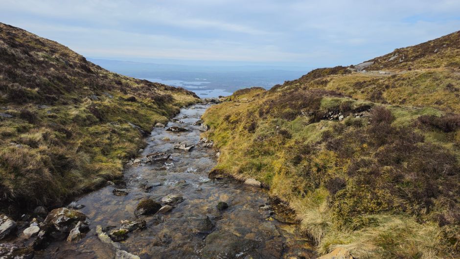記事セクション画像