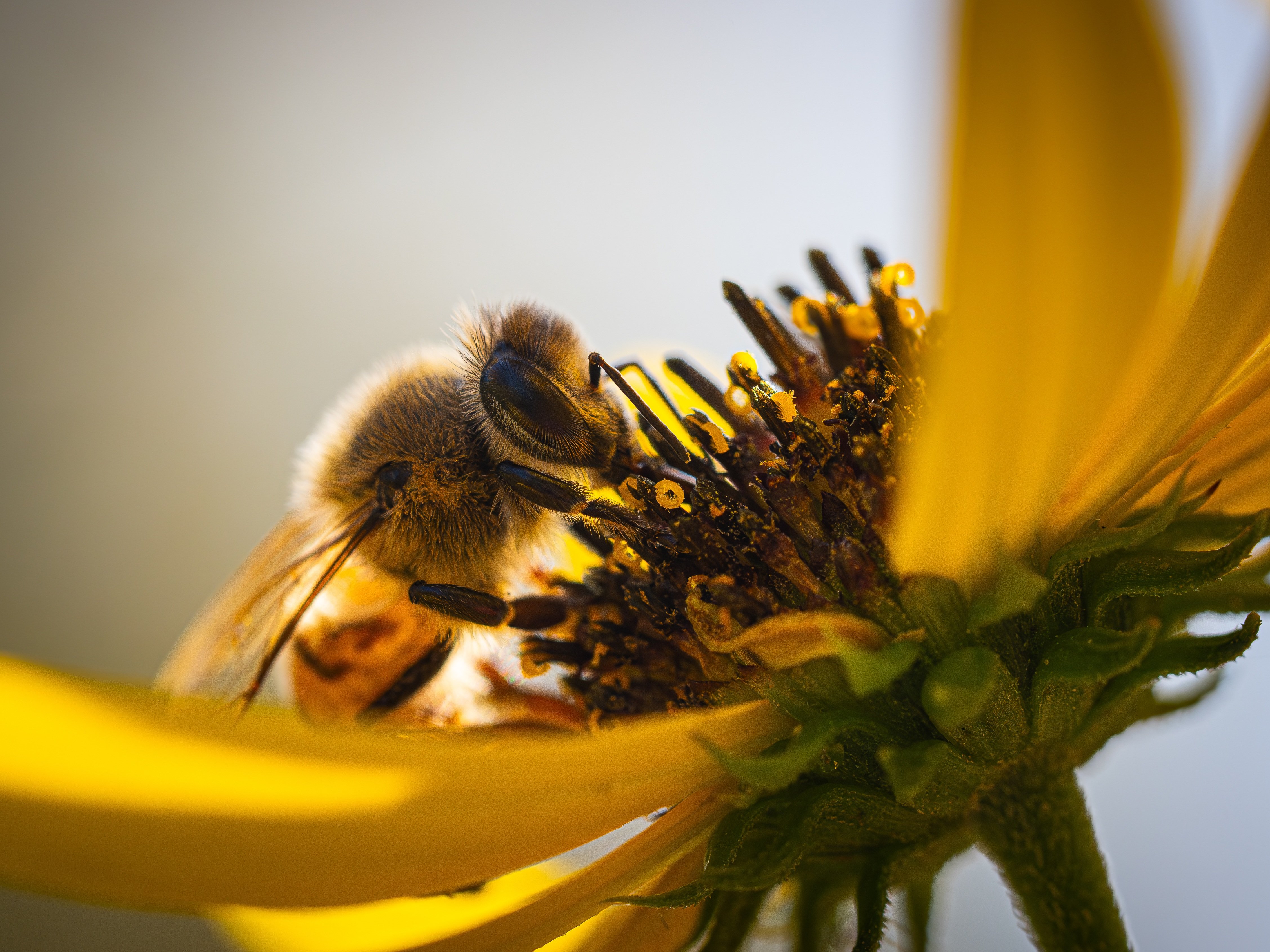 Ark Valley Civics Bee Competition to Send Three Local Students to State — Photo by Ariel Hernandez on Pexels
