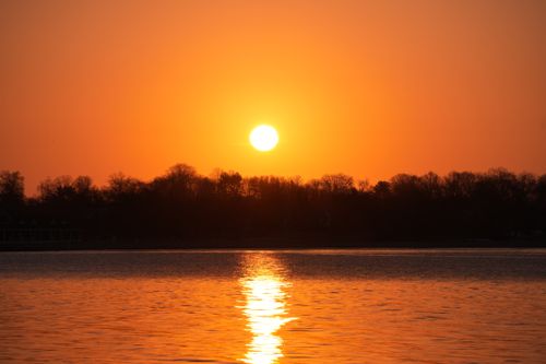 Free A beautiful sunset over a calm lake with tree silhouettes and vivid orange sky. Stock Photo