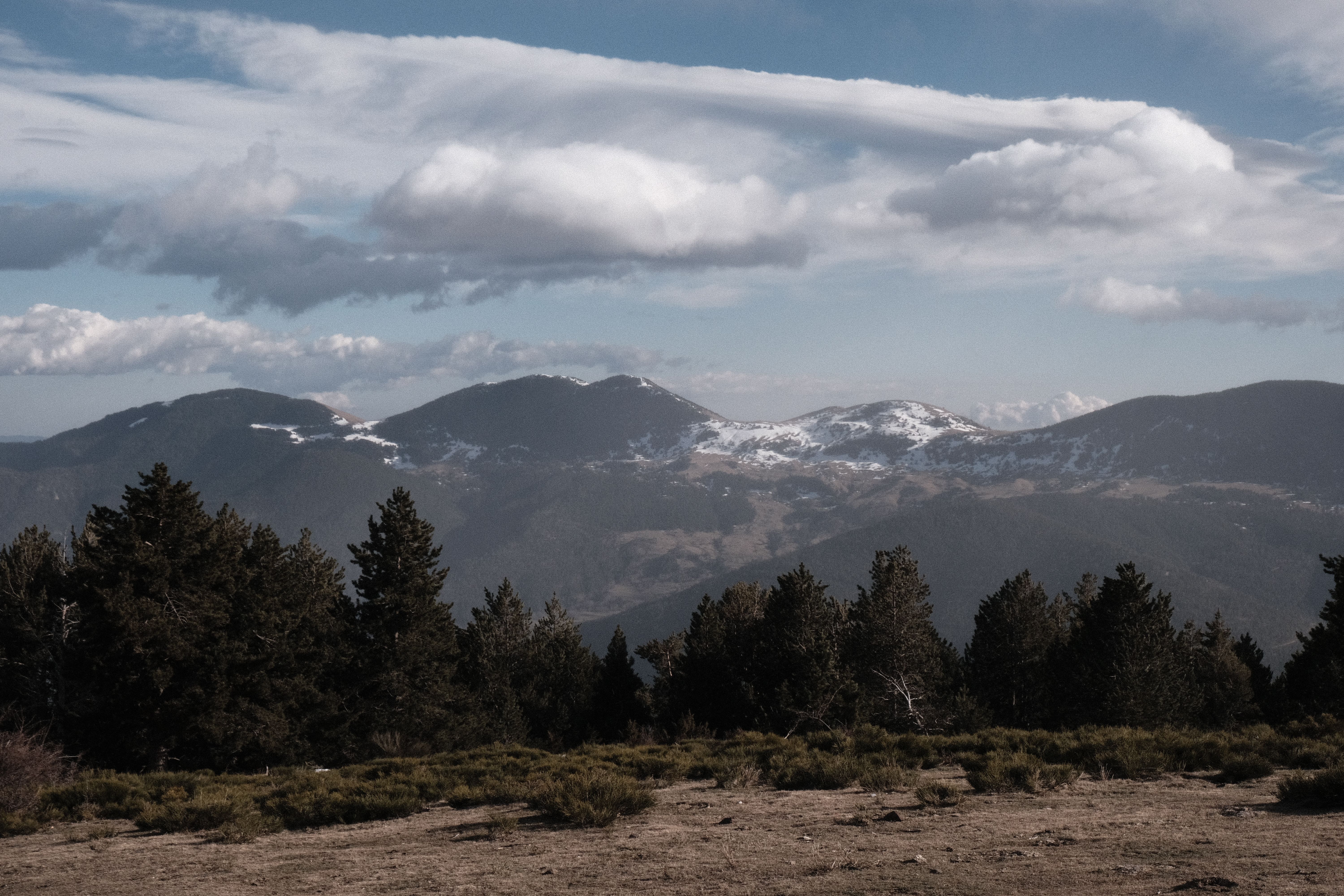 A wooded ridge below a distant snow-covered range