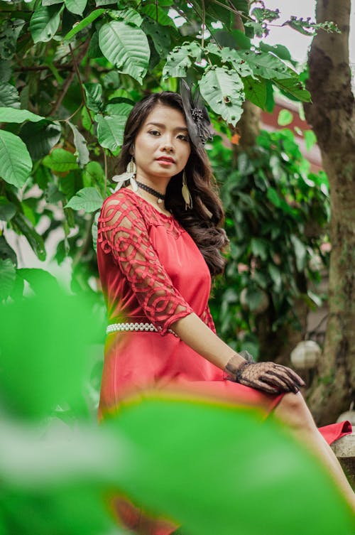Ingyenes stockfotó aranyos, ázsiai nő, barna témában