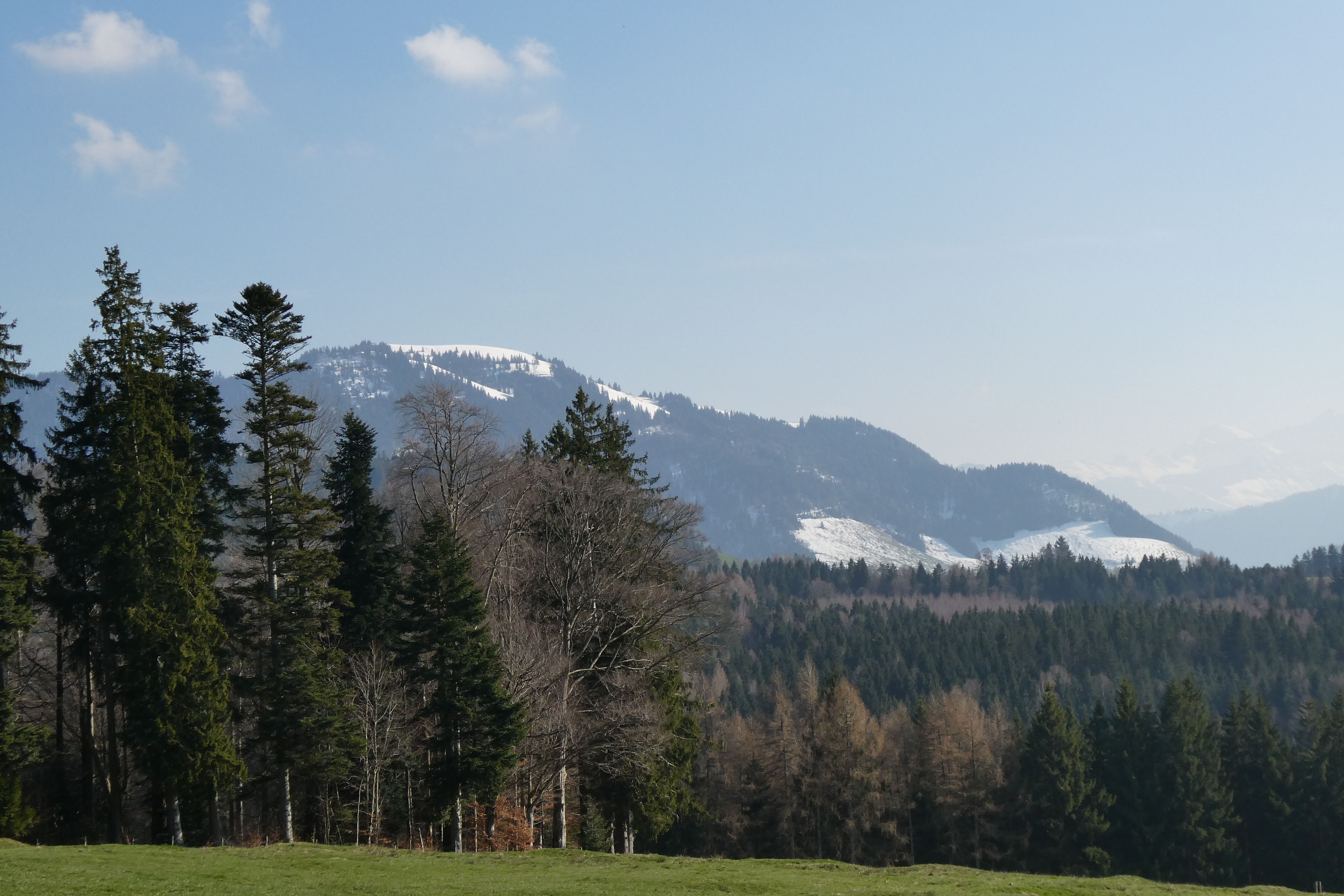 Berg bei Rohrbach