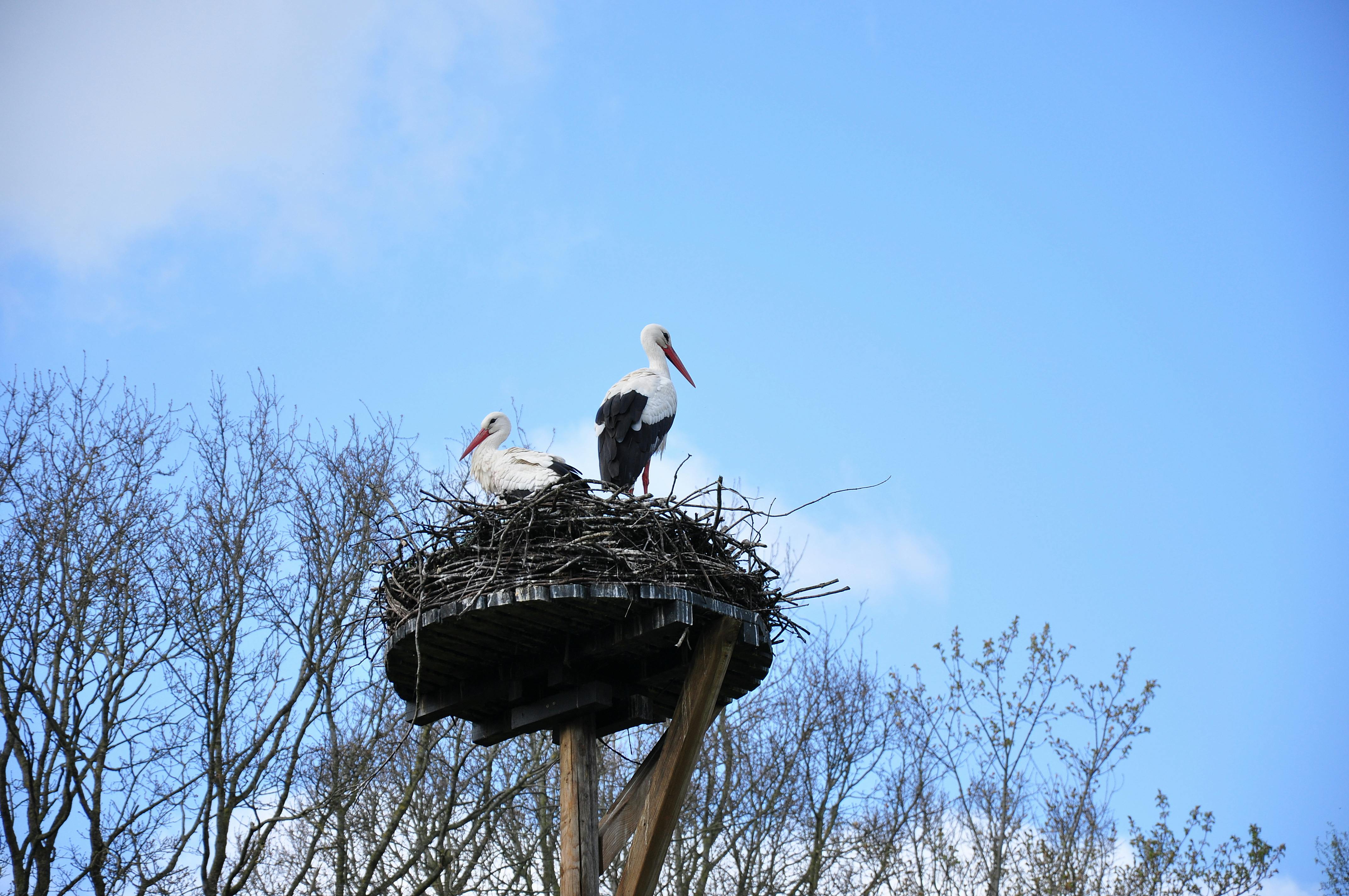 Stork Hengelo Industrieel Erfgoed