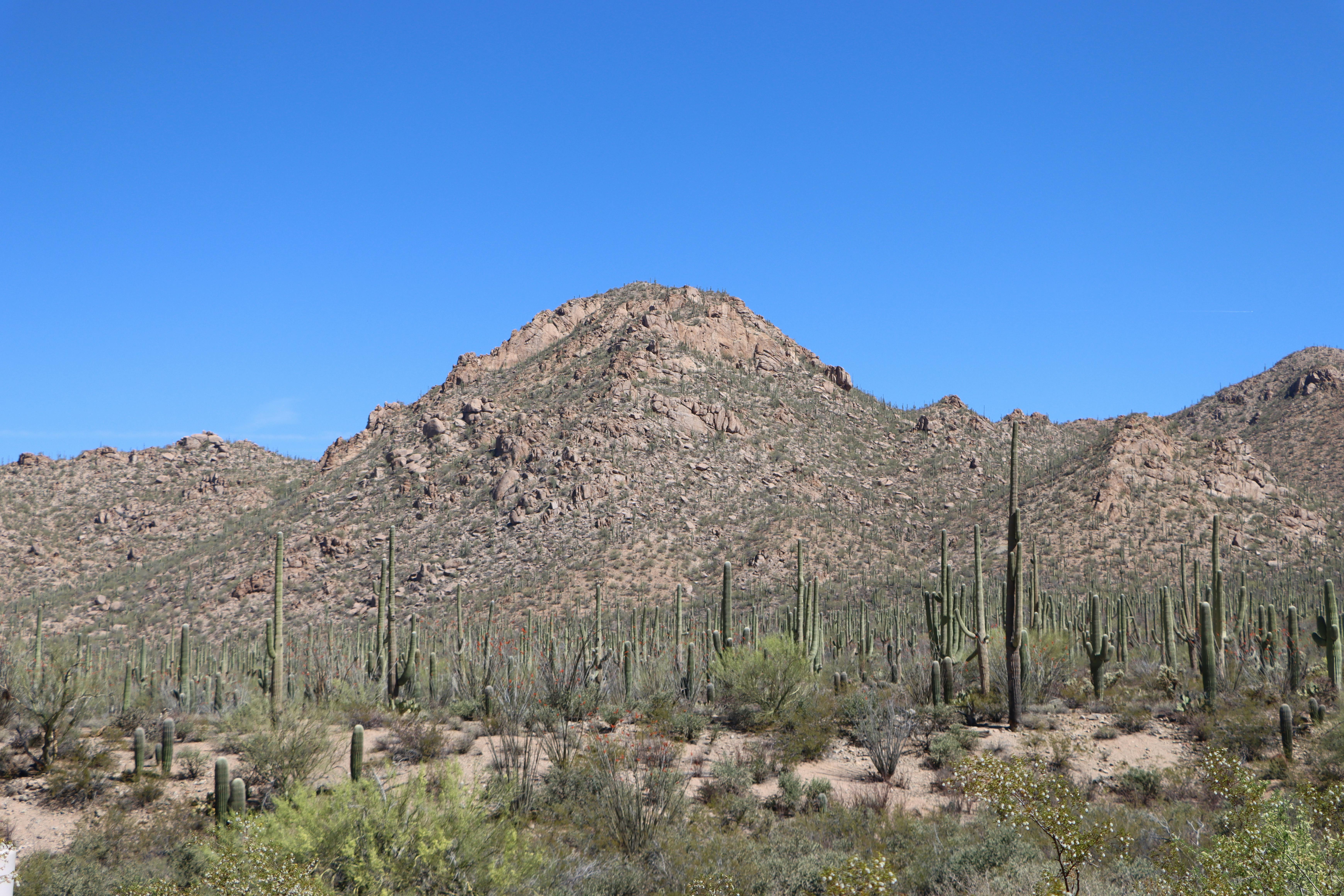 Landmarks in Tucson