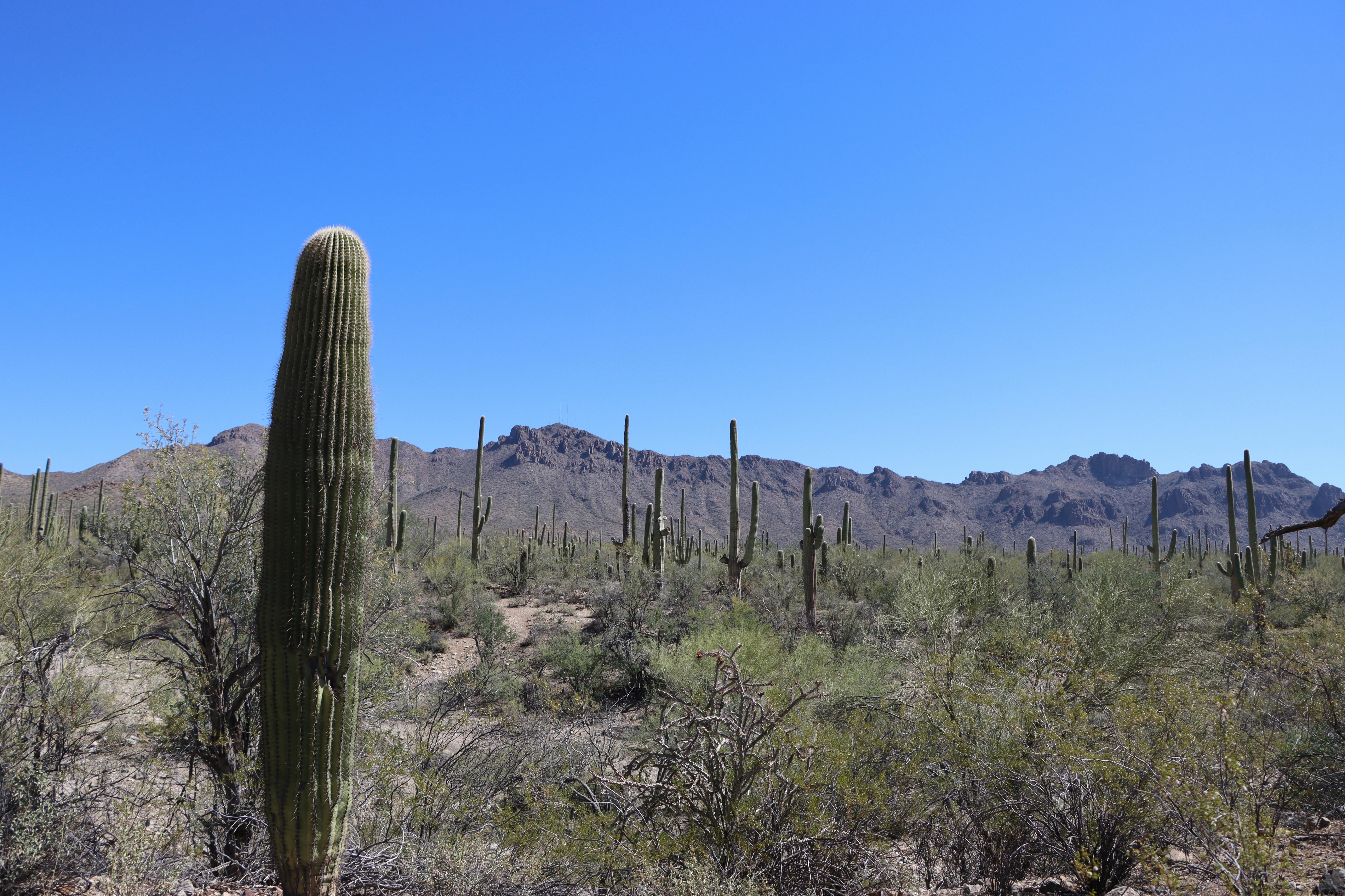 We enter new phase of economic cooperation between Egypt,