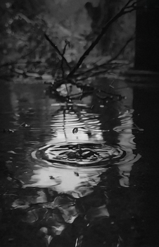 Artistic black and white photo of a droplet on water with reflections.