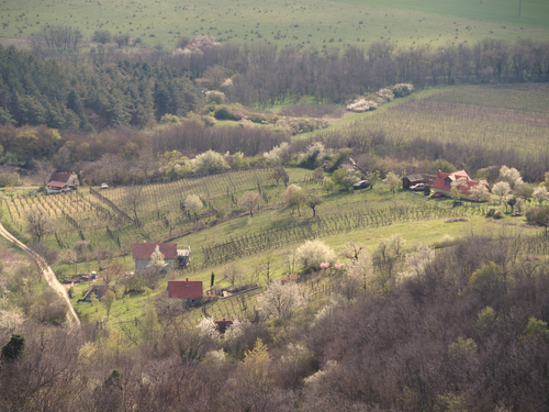 Free Aerial shot of a picturesque rural landscape during spring bloom. Stock Photo