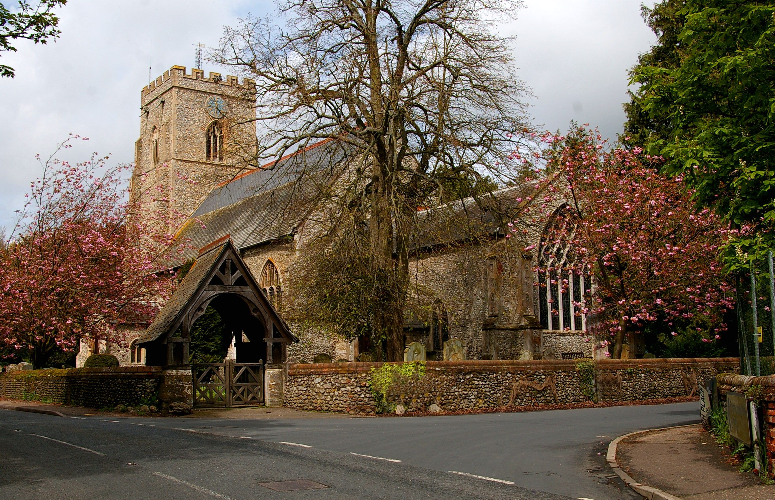 Historic stone church with blooming cherry trees in a peaceful spring setting.